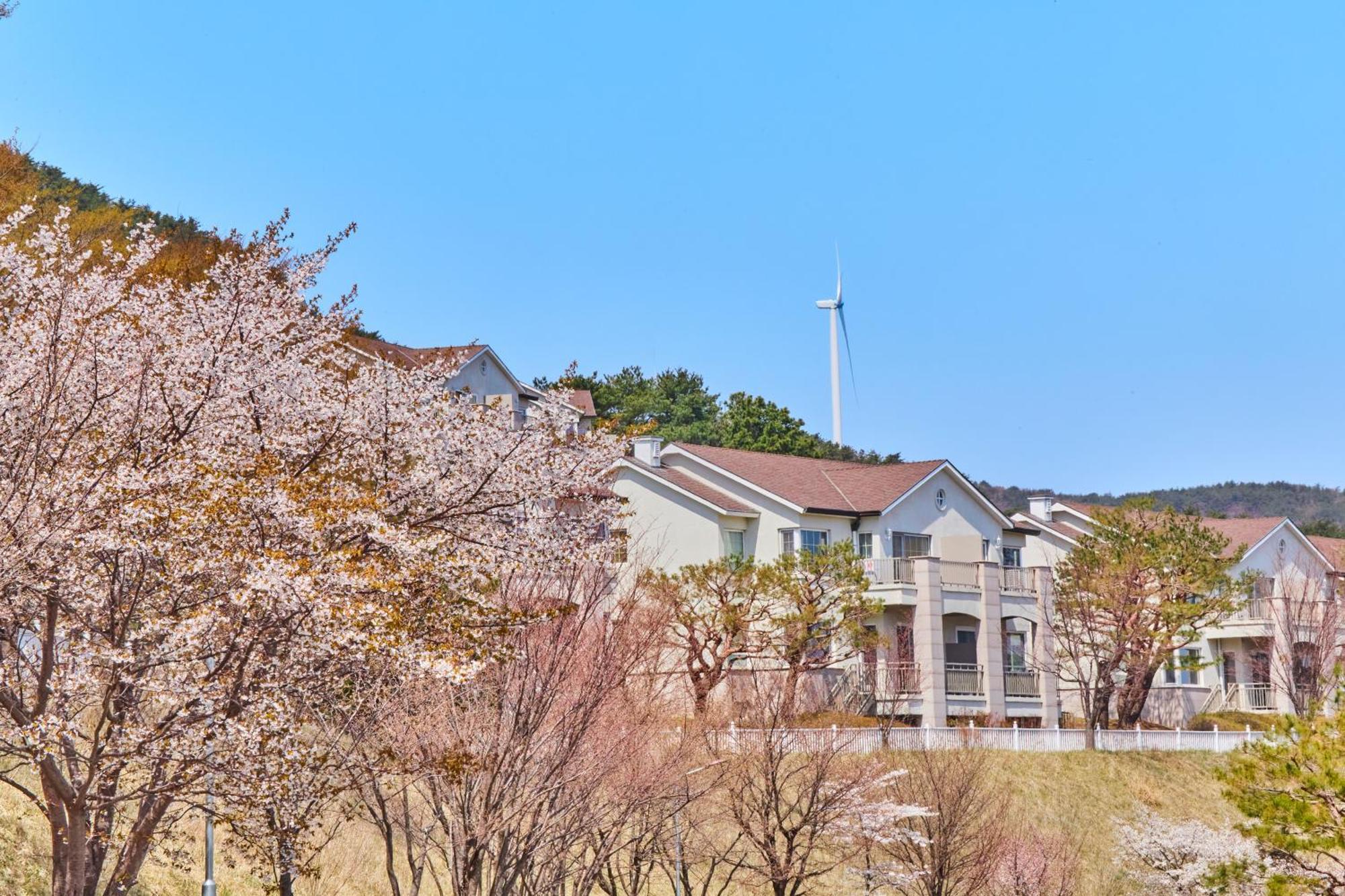 Gyeongju Mauna Ocean Resort Luaran gambar