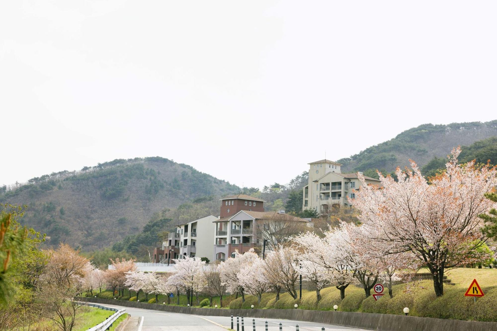 Gyeongju Mauna Ocean Resort Luaran gambar
