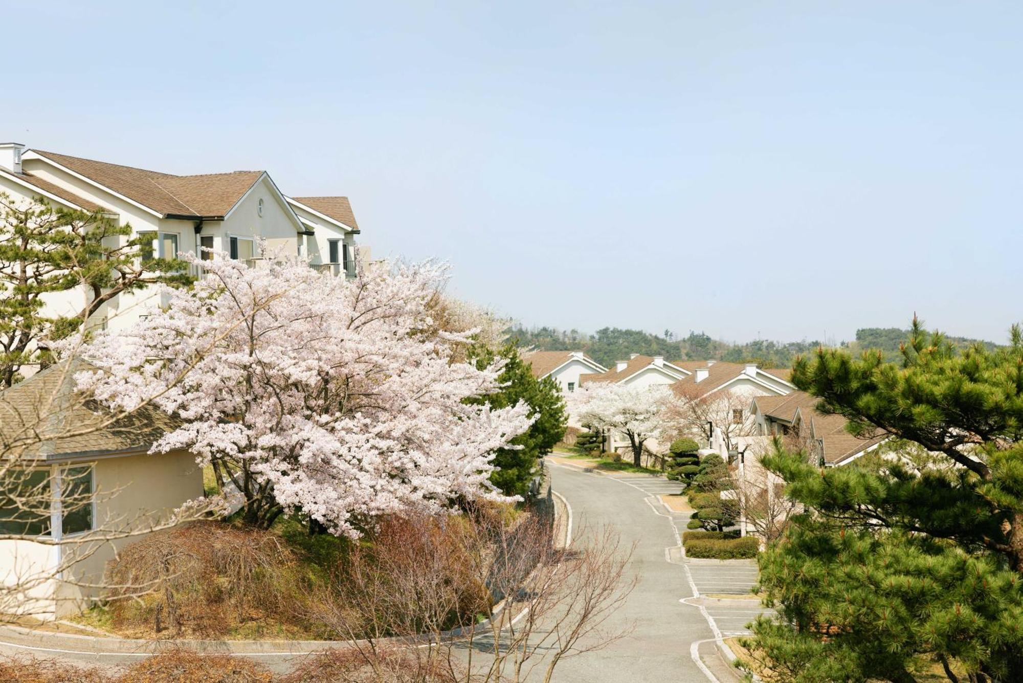 Gyeongju Mauna Ocean Resort Luaran gambar