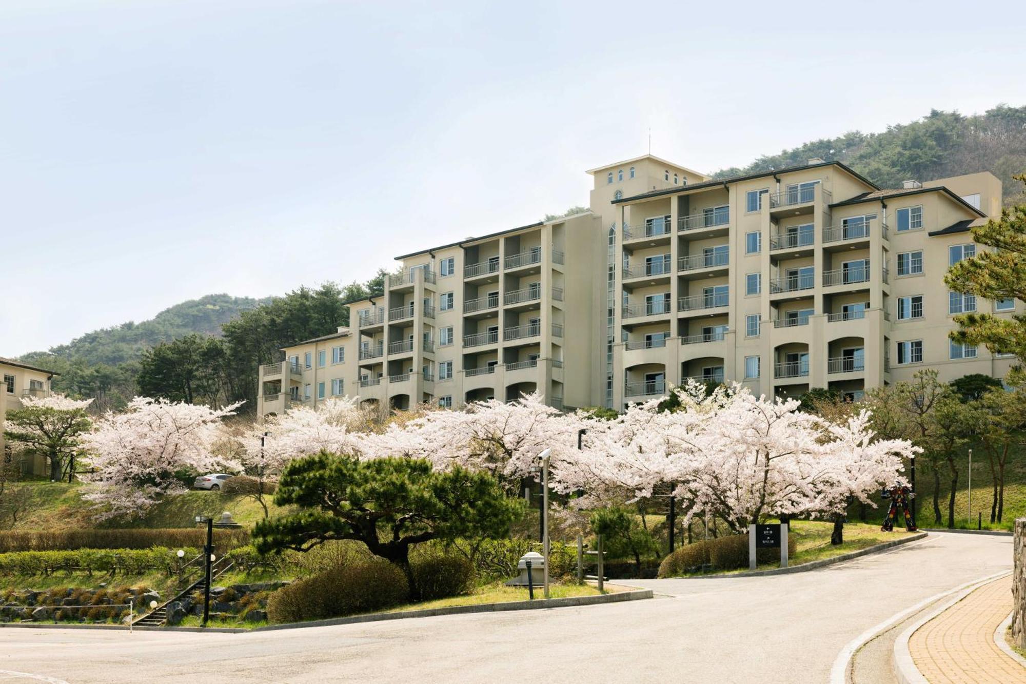 Gyeongju Mauna Ocean Resort Luaran gambar