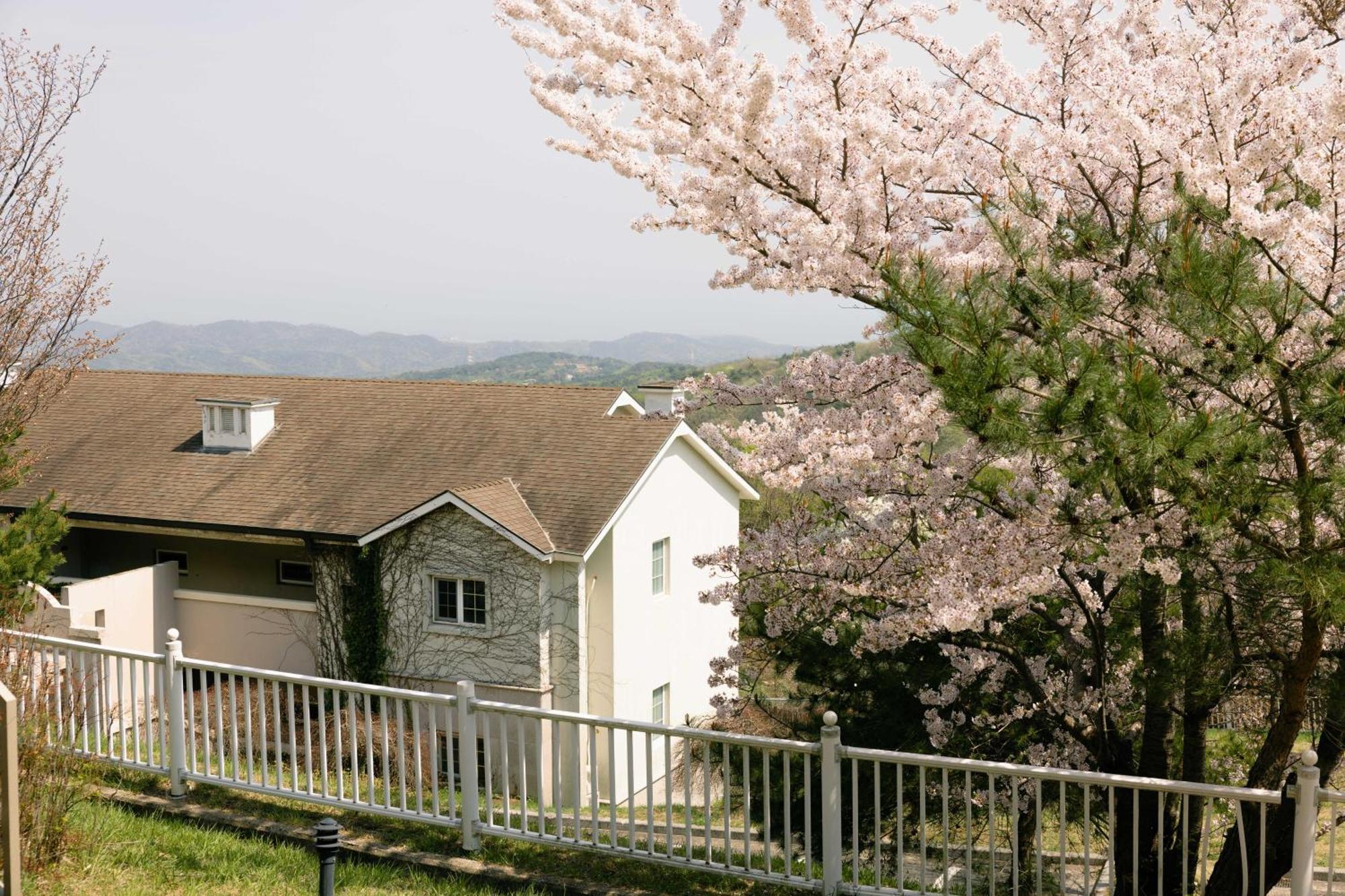 Gyeongju Mauna Ocean Resort Luaran gambar