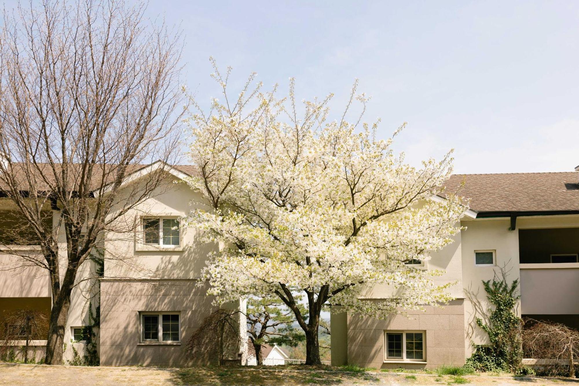 Gyeongju Mauna Ocean Resort Luaran gambar
